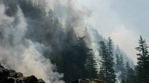 ‘There’s just too many fires’: Calls grow for national wildfire agency