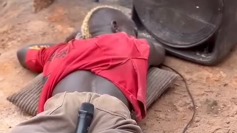 Funny Videos