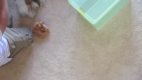 Bunny It's Your Birthday! (Vlogust August 14, 2013)