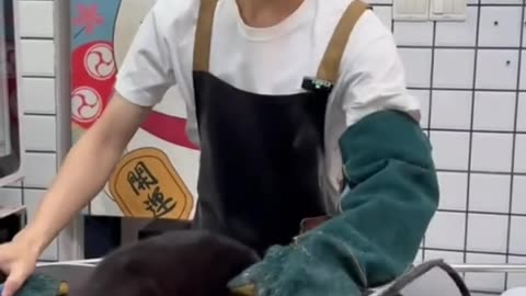 that cat wasn't happy at all