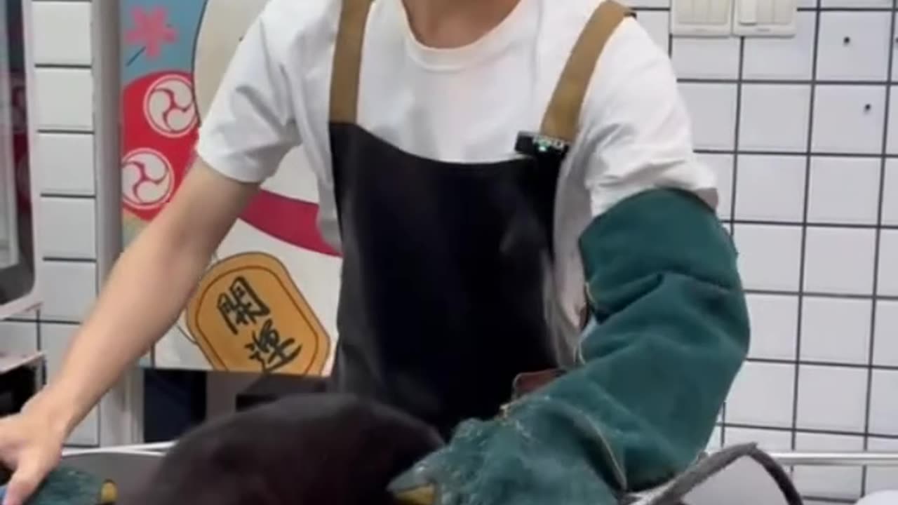 that cat wasn't happy at all