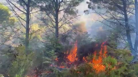 Zjarr në Belishovë, 30 trupa ushtrie angazhohen në ditën e gjashtë të flakëve