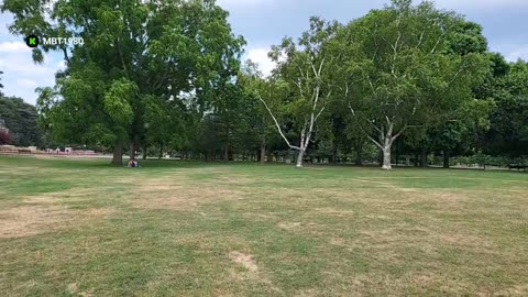 Bus/Park/Mall IRL