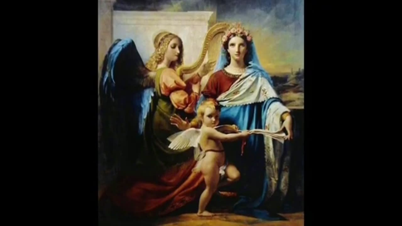 Por qué aparecen insectos en tu casa de forma extraña aunque todo esté limpio!