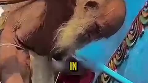 This old man is over 200 years old and he revealed his secret