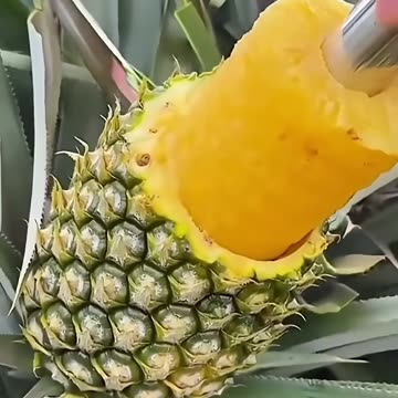 Very Satisfying Fruits Delicious Sweet Wonderful #fruit #shorts #nature
