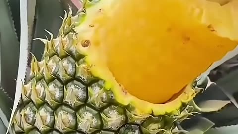 Very Satisfying Fruits Delicious Sweet Wonderful #fruit #shorts #nature