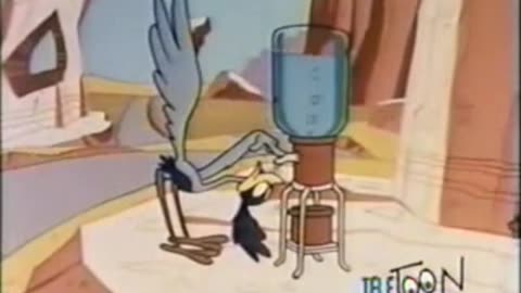 Wile E. Coyote And Road Runner - (Ep. 42) - Look Before You Beep
