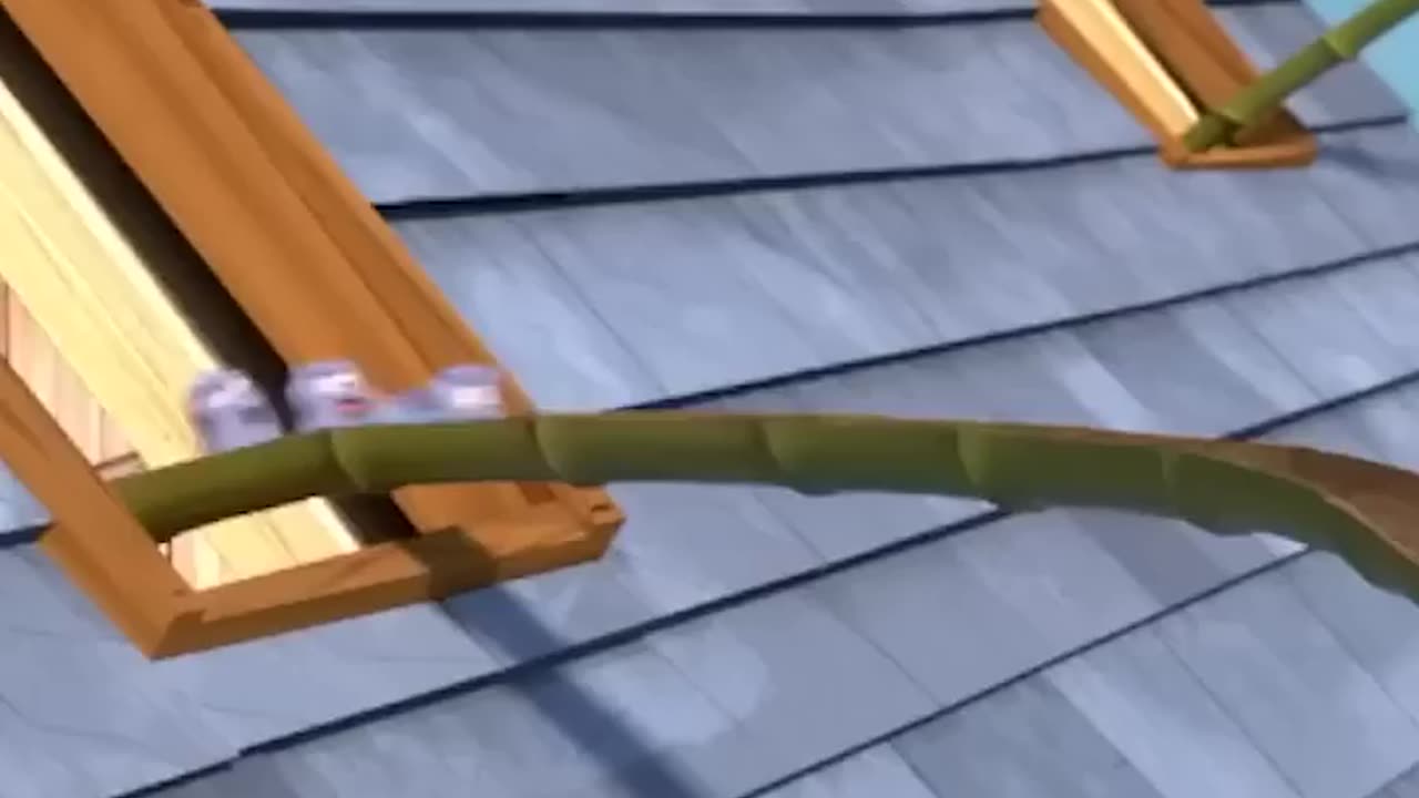 Cartoons video