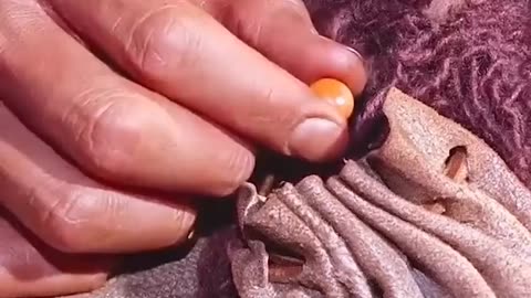 🚀 मंगल ग्रह पर मिला एक एलियन दोस्त! यकीन नहीं होता!