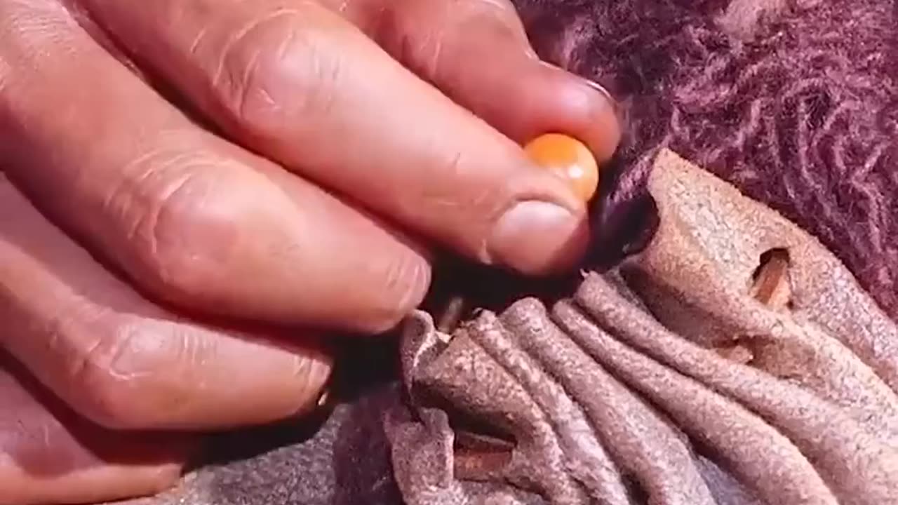 ЁЯЪА рдордВрдЧрд▓ рдЧреНрд░рд╣ рдкрд░ рдорд┐рд▓рд╛ рдПрдХ рдПрд▓рд┐рдпрди рджреЛрд╕реНрдд! рдпрдХреАрди рдирд╣реАрдВ рд╣реЛрддрд╛!