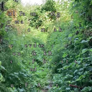 The Path of Fortune | Path and Tarot Reading