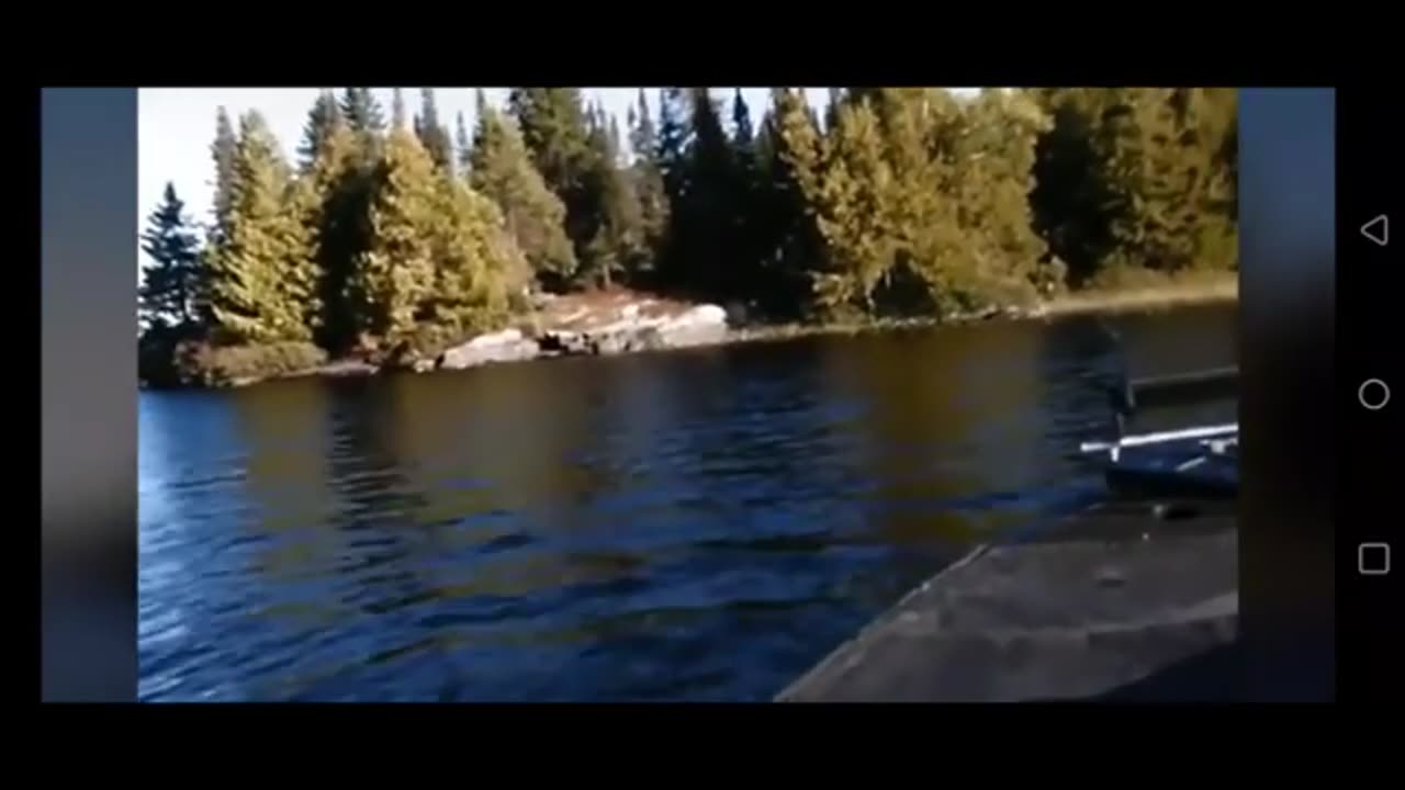 A man's horse refused to move forward after encountering a pale crawler in a forest