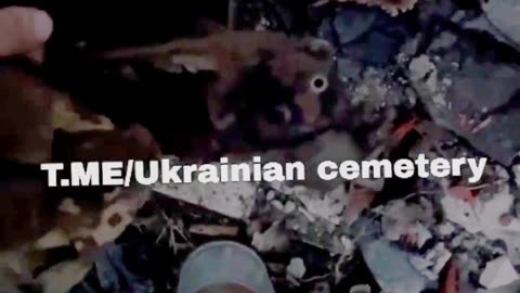 Ukraine war combat footage /related 11/13/2025