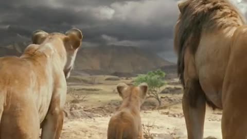 Mufasa 😍❤️ (Part - 8).....#reels #viralreels #reel #mufasa #animation #lastest #romantic #viralreel