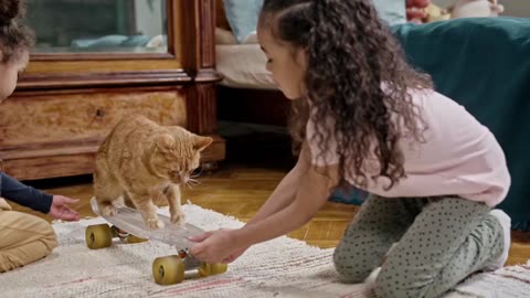 When Pets Graduate, Skate & Get Styled by Confused Humans!| Pawfect LOLs #19