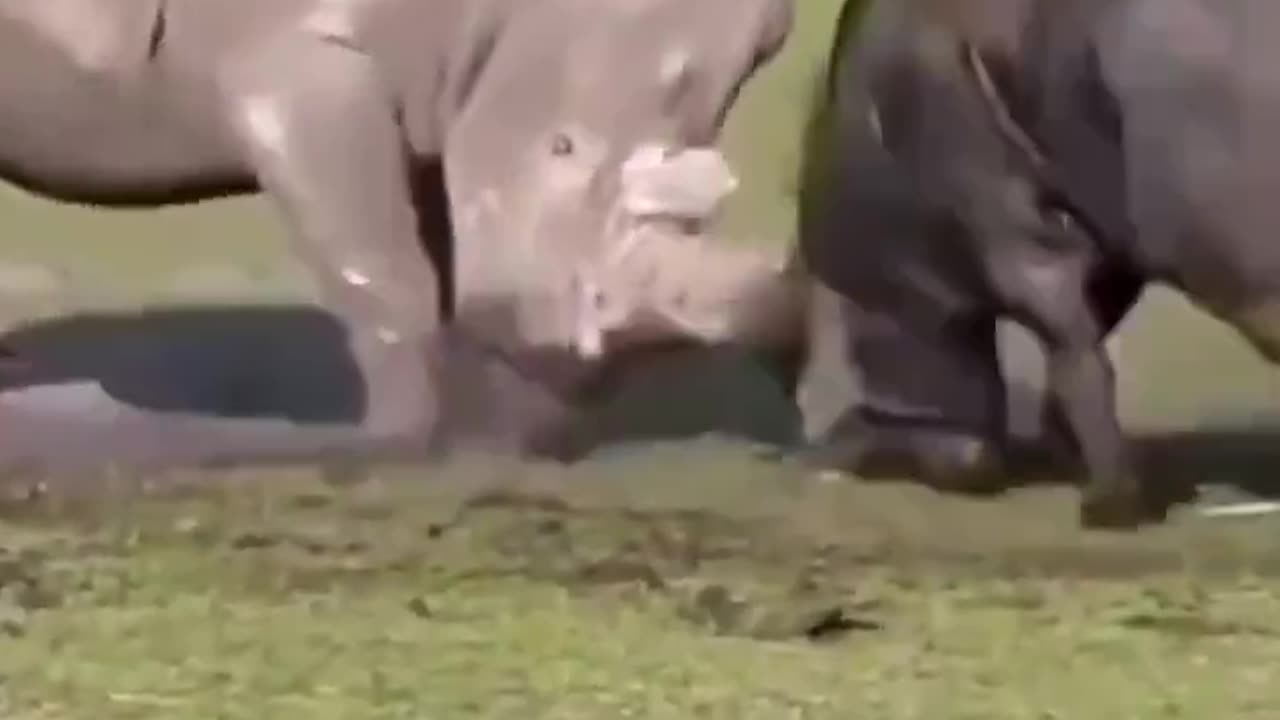 Out Your Weight Class