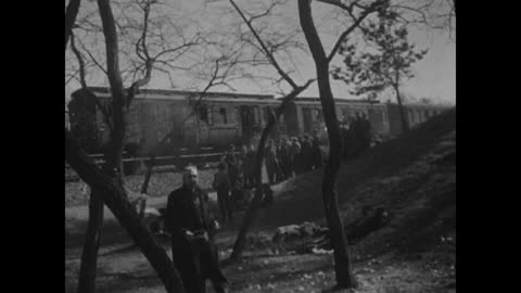 FREED JEWS - FREED JEWS - 111-adc-9721