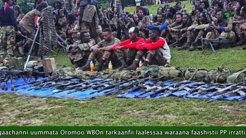 ONM-ABO Onkoloolessa 24-2025 itti dhiyaadhaa!