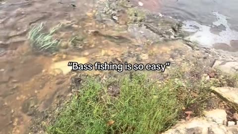 so easy to catch !