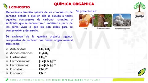 SAVIA REGULAR 2025 | Semana 15 | Química S2