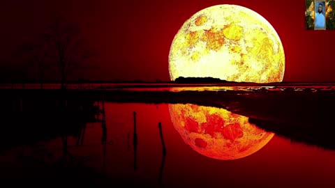 تلاوة تهتز لها القلوب القران الكريم