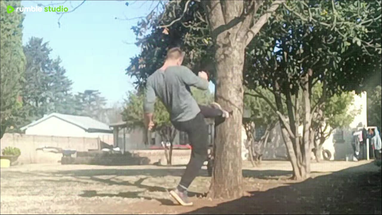 puffADA vs Tree - Round 3 - live mma training