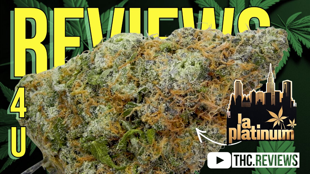 L.A. PLATINUM 🌴😎 (STRAIN REVIEW) | REVIEWS 4 U