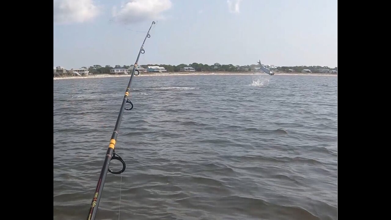 Tarpon Battle from Kayak