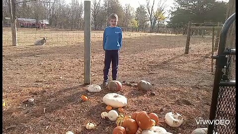 smashing pumpkins
