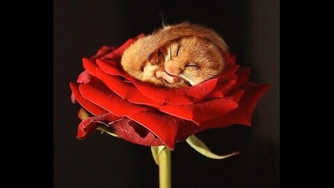 God fortsättning alla