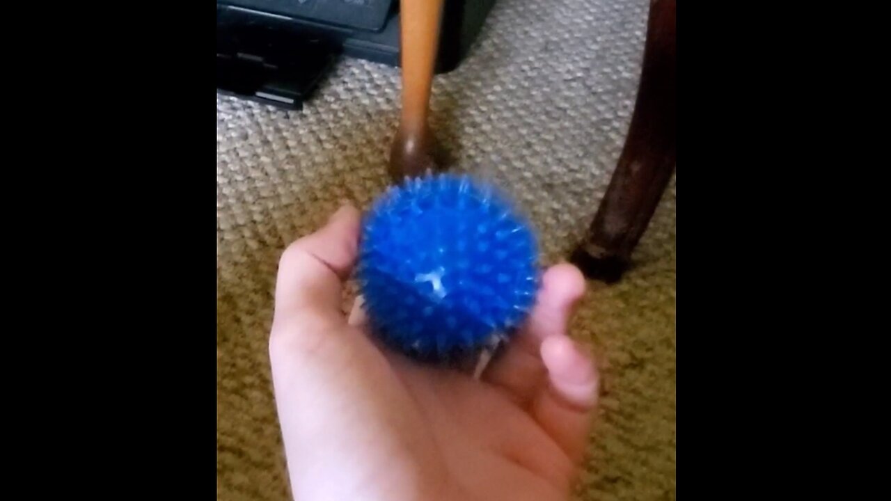 Bluto Takes This Ball WAY Too Seriously 😂