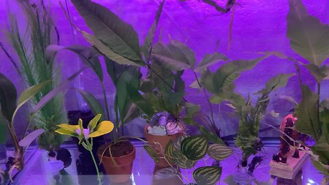 Part 2 Of Setting Up Ten Gallon Aquarium