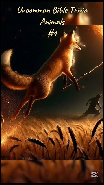 Uncommon Bible Trivia - Animals part 1