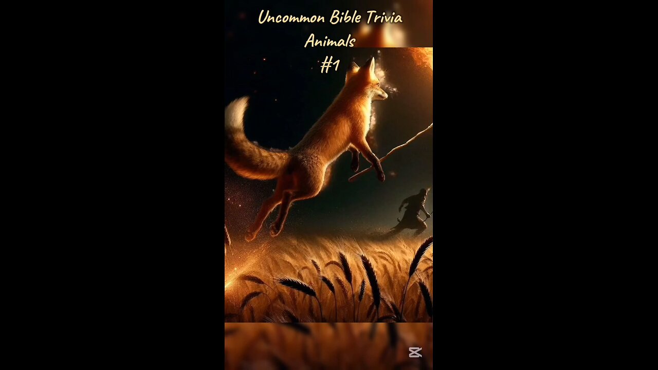 Uncommon Bible Trivia - Animals part 1