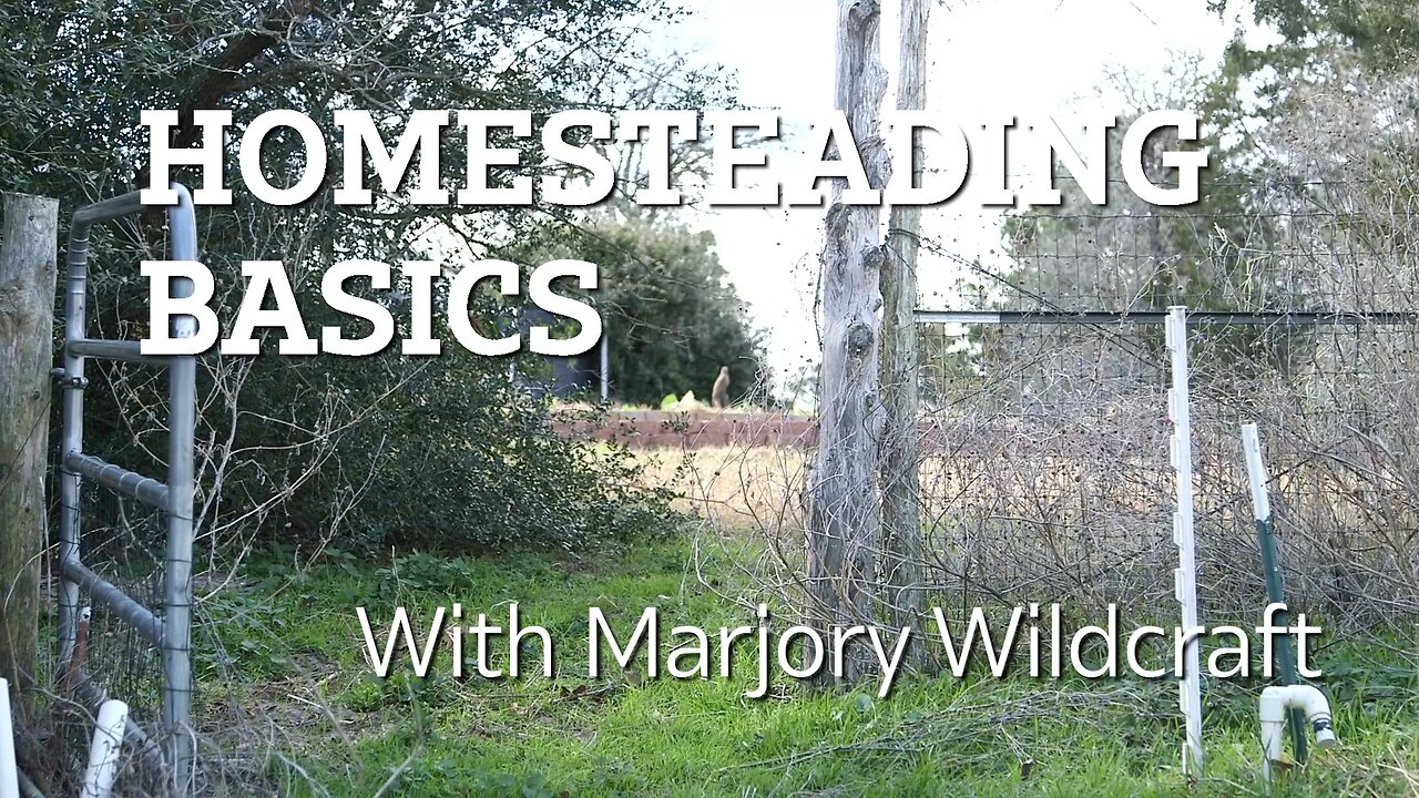 Another Use For The Most Useful Homesteading Item You Never Think Of