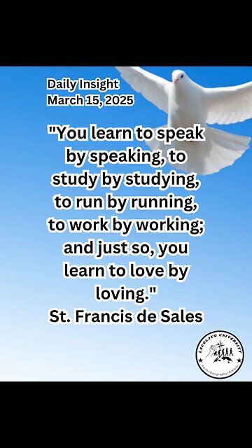 Daily Insight March 15, 2025