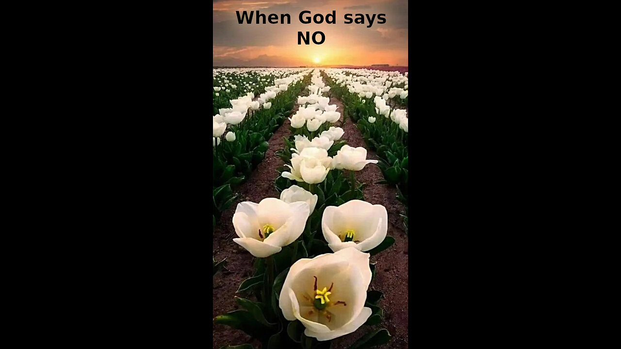 Emmet 🌀 533 ~ When God says NO