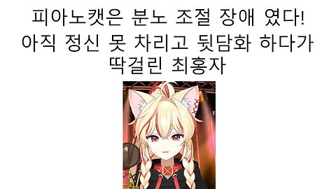 분노장애 정신병 있는 전남친이라며 피아노캣 뒷담화 하다가 딱걸린 최홍자 논란
