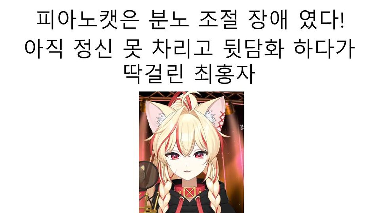 분노장애 정신병 있는 전남친이라며 피아노캣 뒷담화 하다가 딱걸린 최홍자 논란