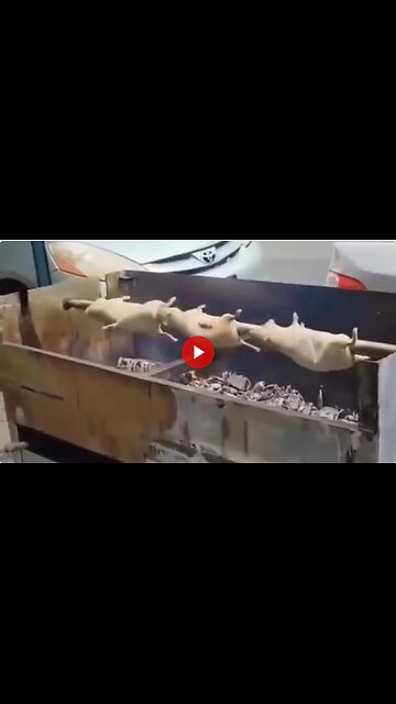 Nothing better than fresh Rotisserie Rats from the streets of NYC - If you can't beat em eat em!