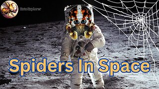 Spiders in Space - Zero Gravity and Web Building