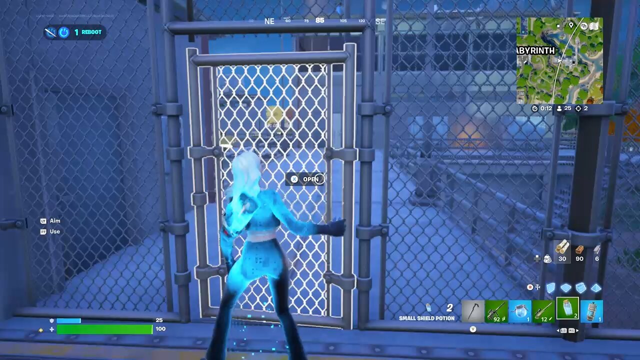 Fortnite final kill!