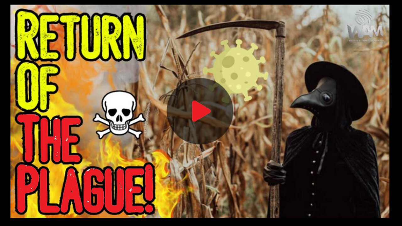 RETURN OF THE PLAGUE!