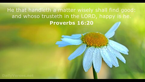 Proverbs 16