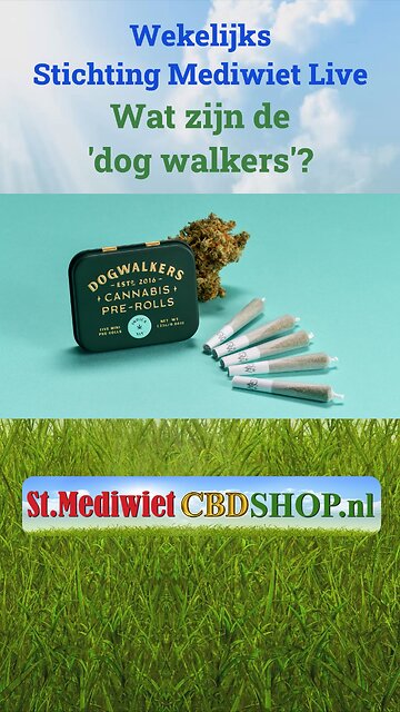 Wat zijn dog walkers?