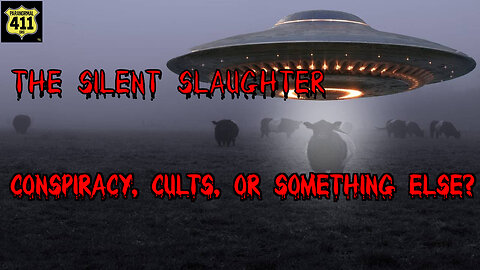 The Silent Slaughter: Conspiracy, Cults or Something Else?