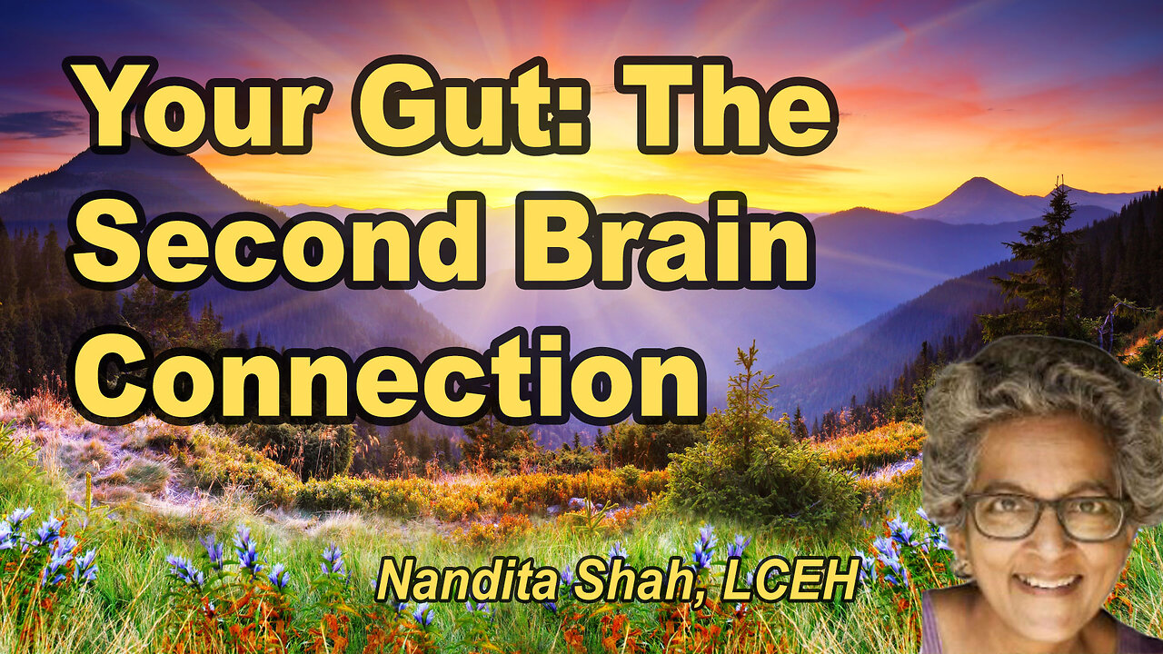 Your Gut: The Second Brain
