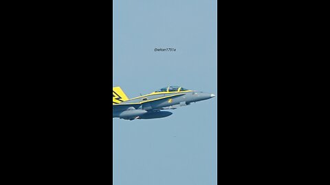 Pikachu hornet malaysian airforce 🇲🇾