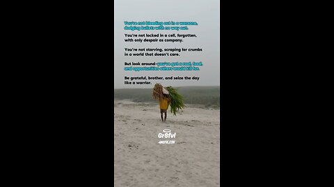 Not in a Warzone?... Seize Your Shot!